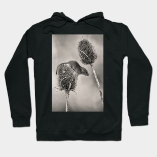 Harvest Mouse Hoodie